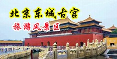 大鸡巴插BB视频黄色中国北京-东城古宫旅游风景区
